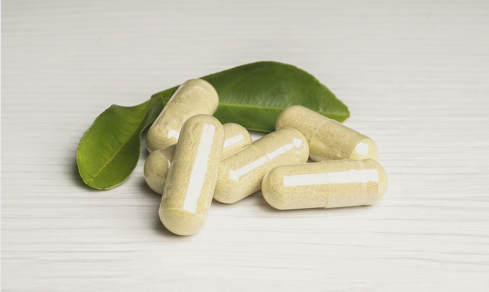 fat burning supplements